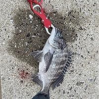 プロマリン　レジェンダー磯　1.5-530 プロマリン(PRO MARINE) CB レジェンダー磯 1.5-530